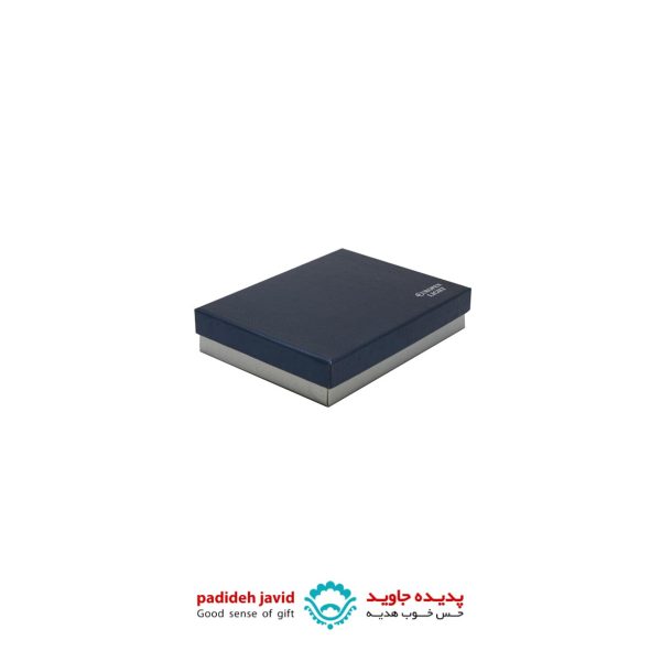 ست خودکار استایلوس و چراغ قوه یوروپن مدل لایت EUROPEN LIGHT