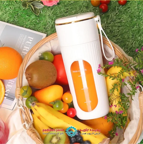 شیکر برقی پرتابل MW02